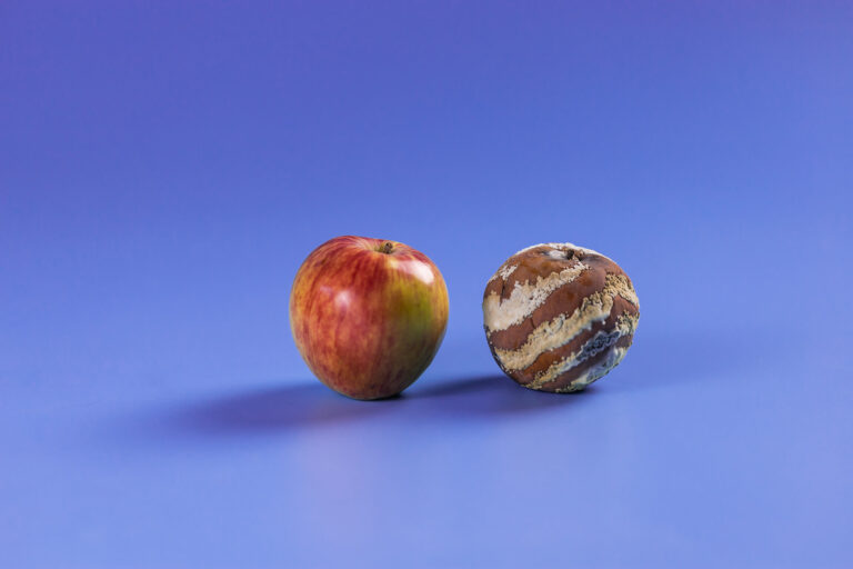 Positioneringsbureau